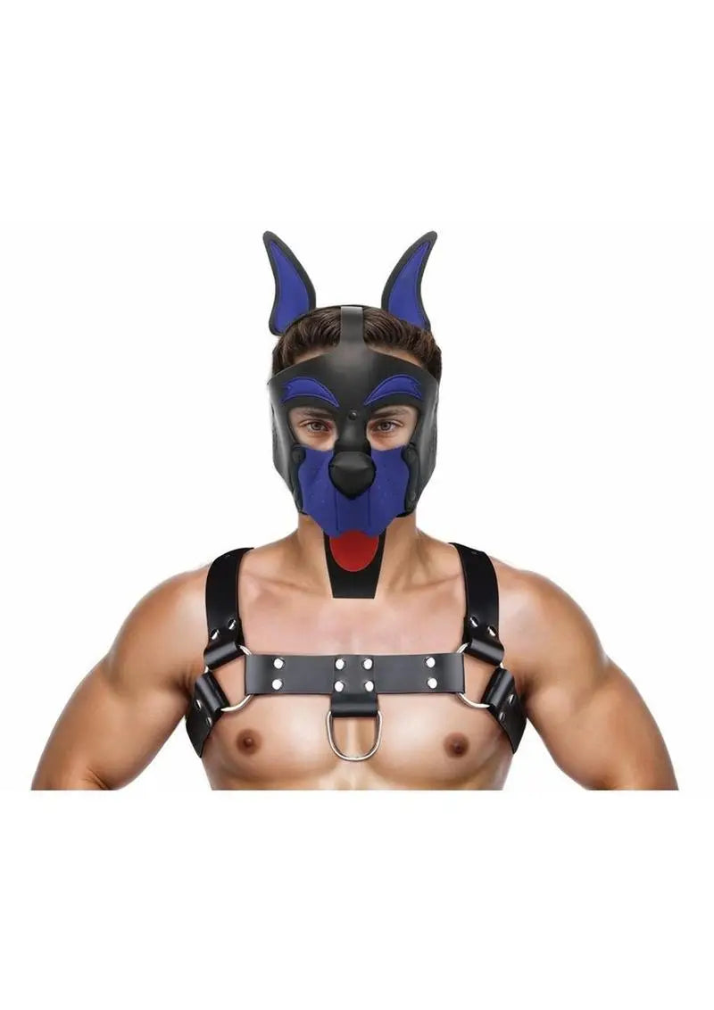 Master Series Alpha Dog Pup Hood – Blue