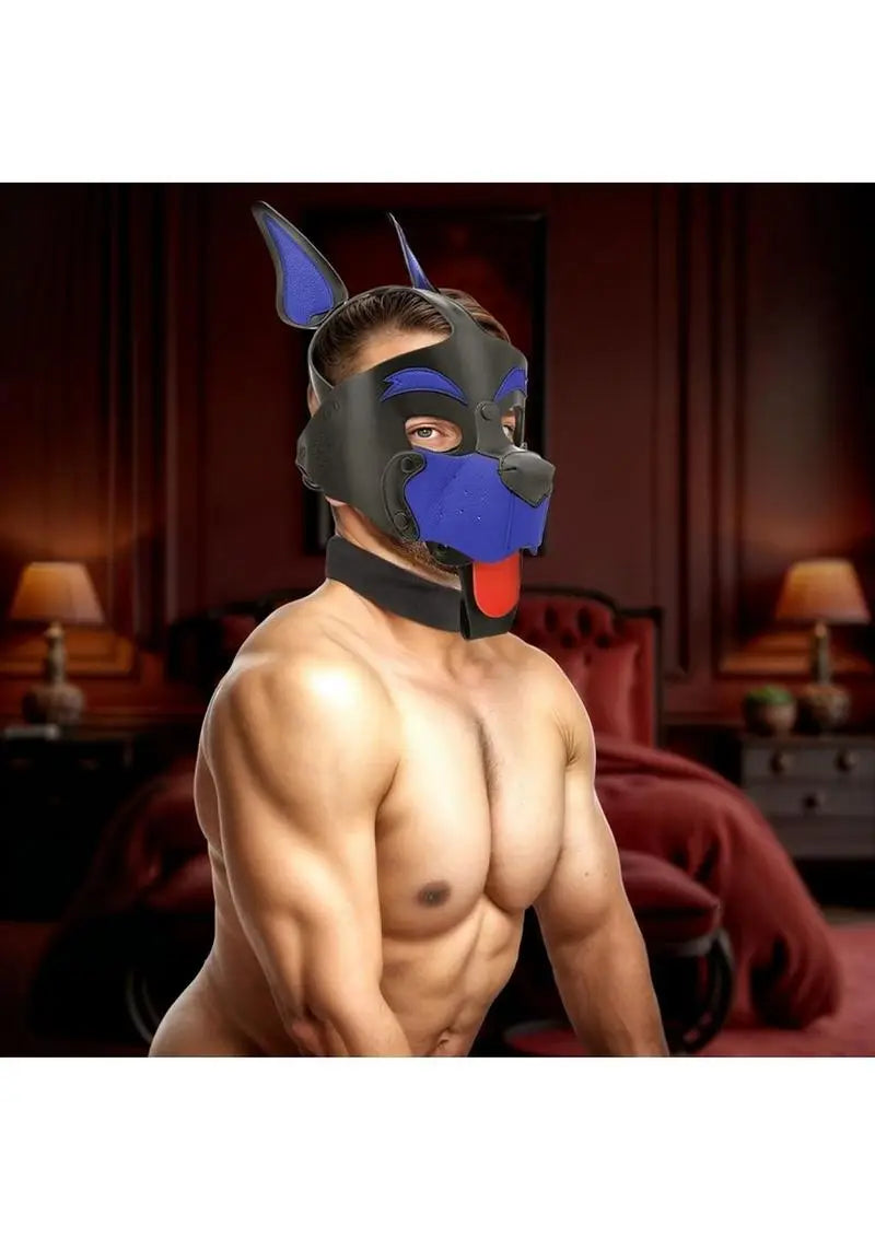 Master Series Alpha Dog Pup Hood – Blue